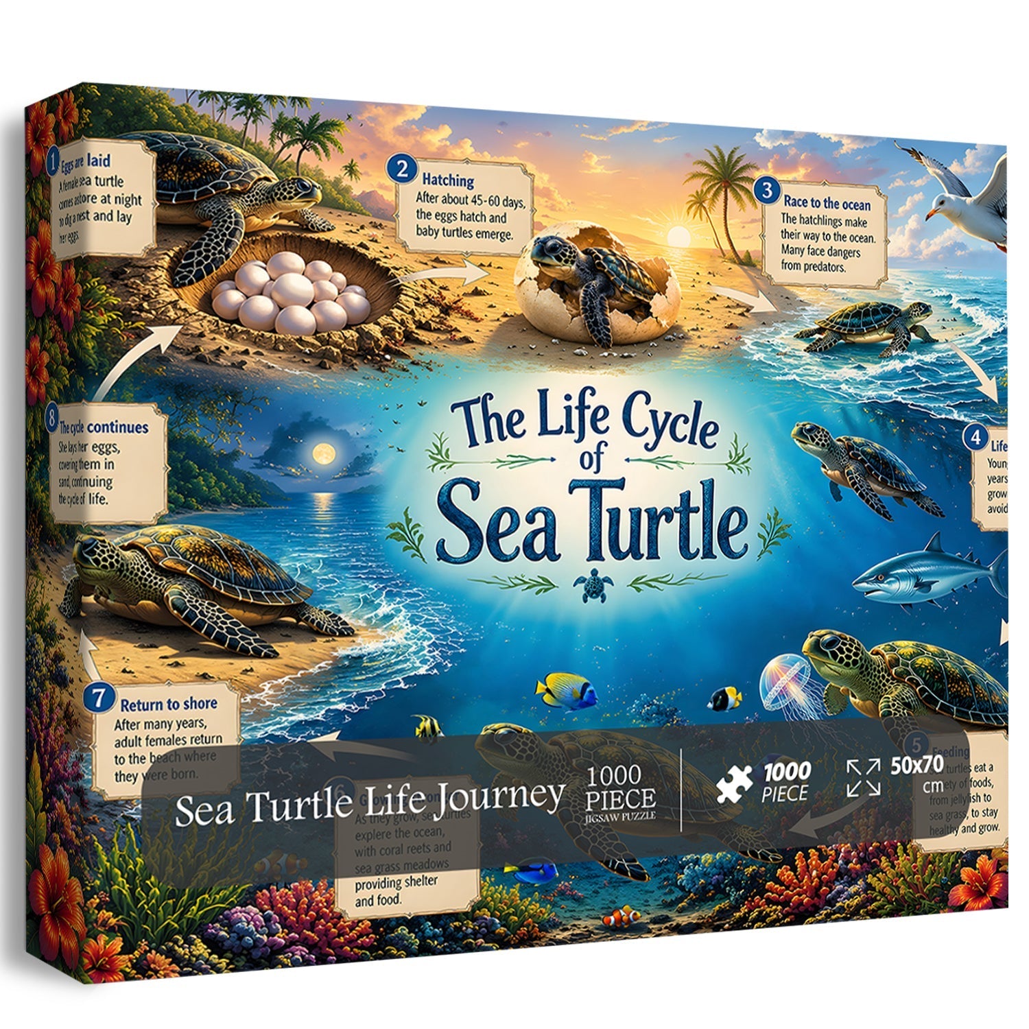 Sea Turtle Life Journey Jigsaw Puzzle 1000 Pieces