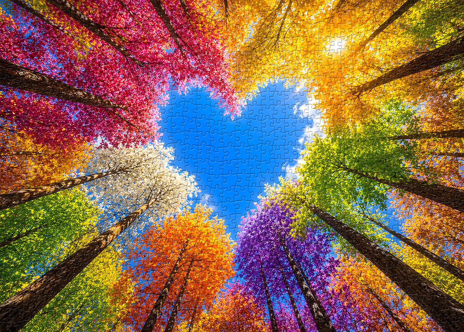Rainbow Forest Jigsaw Puzzle 1000 Pieces